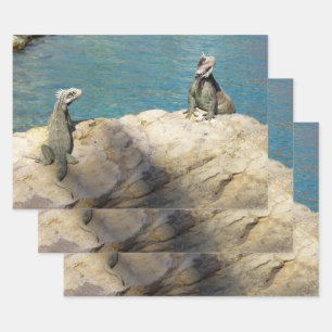 Pair of Iguanas Tropical Wildlife Photography Wrapping Paper Sheet