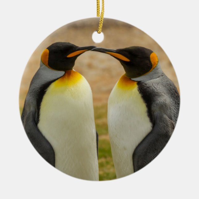 Pair of King Penguins, Falklands Ceramic Ornament (Front)