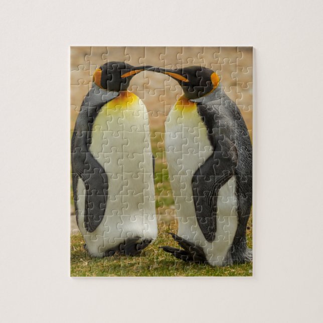 Pair of King Penguins, Falklands Jigsaw Puzzle (Vertical)