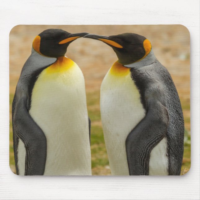 Pair of King Penguins, Falklands Mouse Pad (Front)