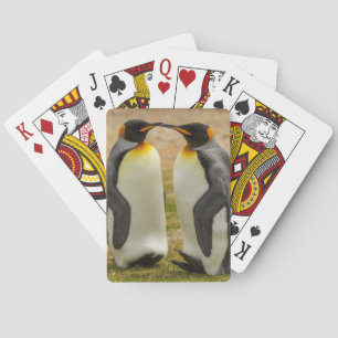 Pair of King Penguins, Falklands Playing Cards