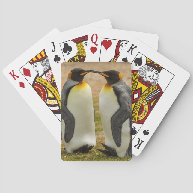 Pair of King Penguins, Falklands Playing Cards (Back)