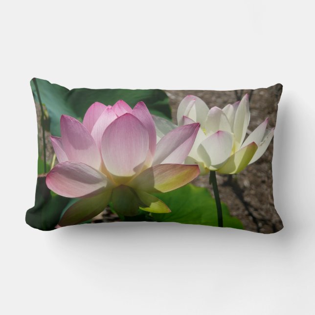 Pair of Lotus Flowers I Lumbar Cushion (Front)