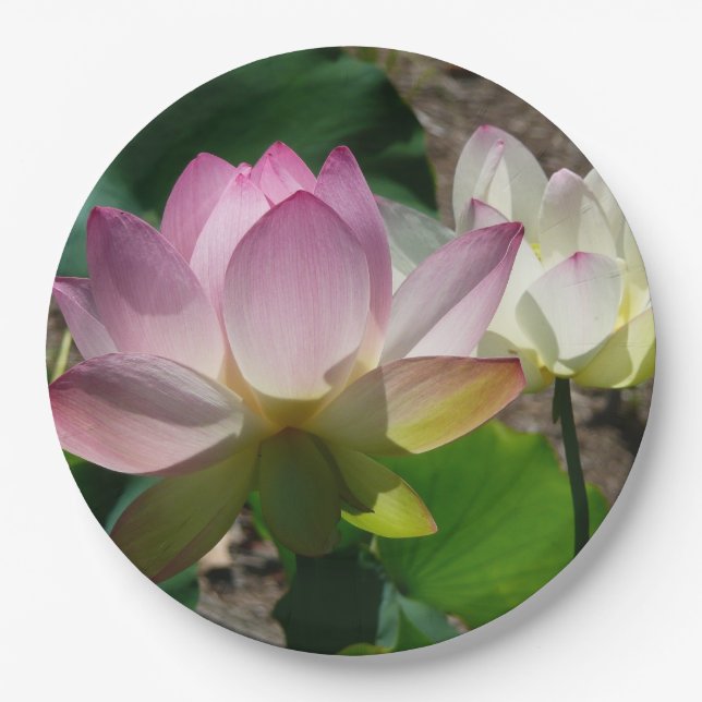 Pair of Lotus Flowers I Paper Plate (Front)