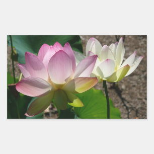 Pair of Lotus Flowers I Rectangular Sticker