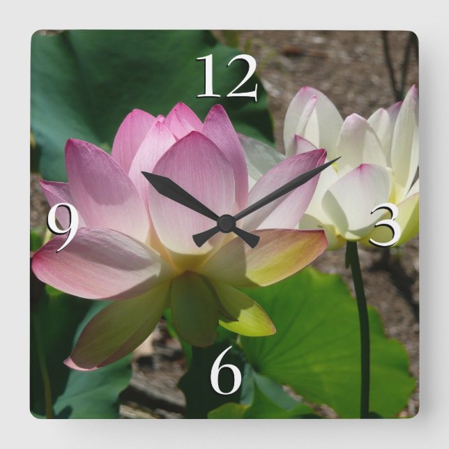 Pair of Lotus Flowers I Square Wall Clock (Front)