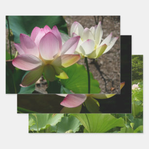 Pair of Lotus Flowers I Wrapping Paper Sheet