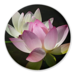 Pair of Lotus Flowers II Ceramic Knob