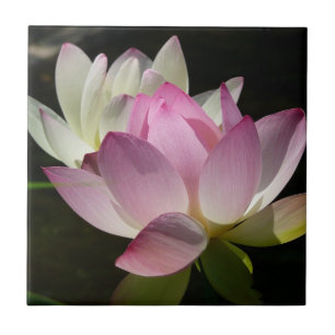 Pair of Lotus Flowers II Ceramic Tile