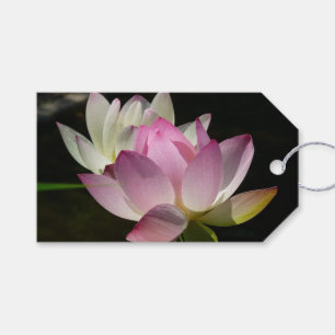 Pair of Lotus Flowers II Gift Tags