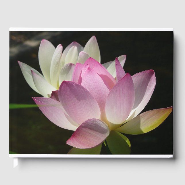 Pair of Lotus Flowers II Guest Book (Front)