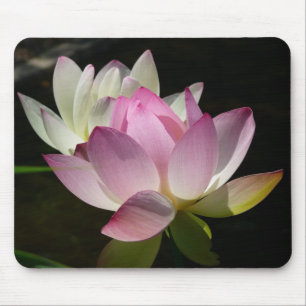 Pair of Lotus Flowers II Mouse Pad