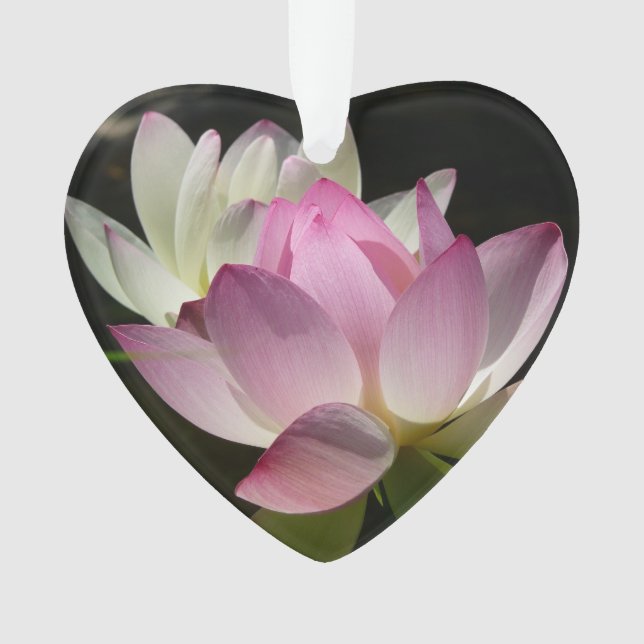 Pair of Lotus Flowers II Ornament (Front)