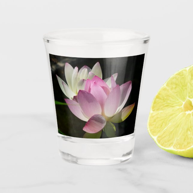 Pair of Lotus Flowers II Shot Glass (Front)