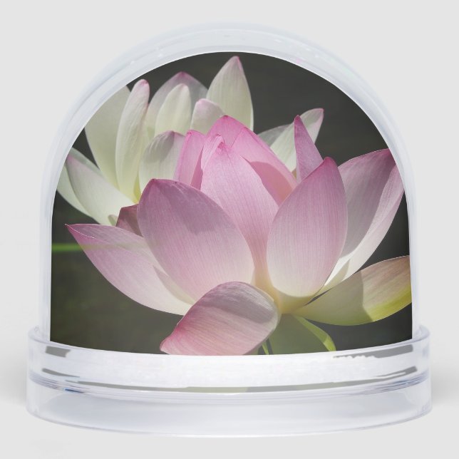 Pair of Lotus Flowers II Snowglobe (Front)