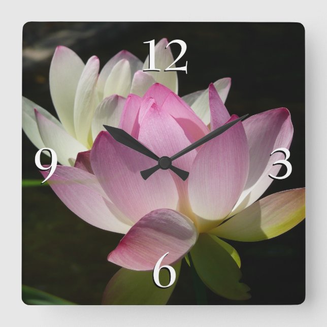 Pair of Lotus Flowers II Square Wall Clock (Front)