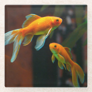 Pair of Lucky Goldfish Glass Coaster