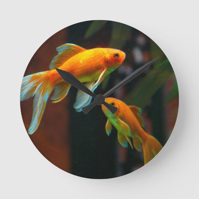 Pair of Lucky Goldfish Round Clock (Front)