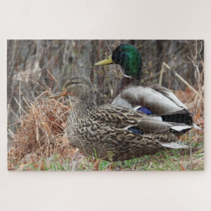 Pair of Mallard Ducks Jigsaw Puzzle