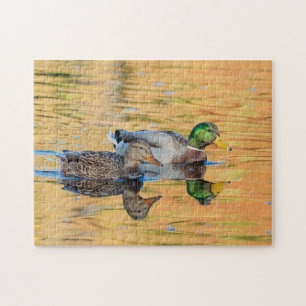 Pair of Mallards Jigsaw Puzzle