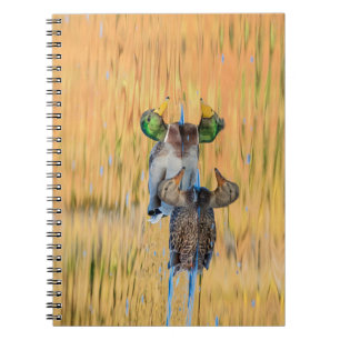 Pair of Mallards Notebook
