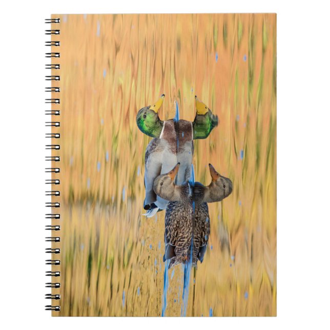 Pair of Mallards Notebook (Front)