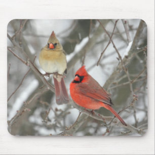 Pair Of Northern Cardinals Mouse Pad