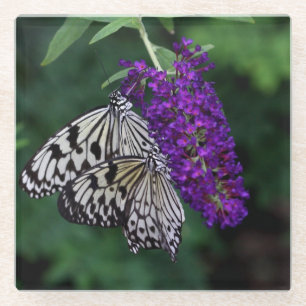 Pair of Paper Kite Butterflies Glass Coaster