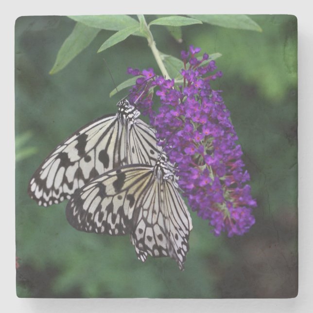 Pair of Paper Kite Butterflies Stone Coaster (Front)