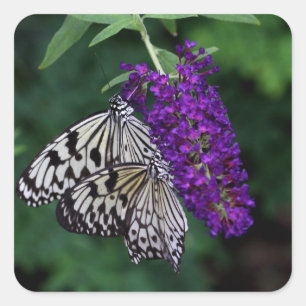 Pair of paper kites square sticker