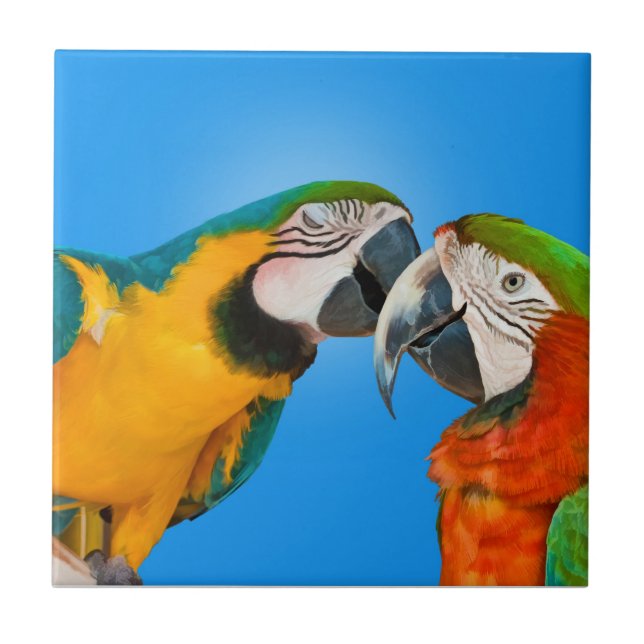 Pair of Parrots Kissing Tile (Front)