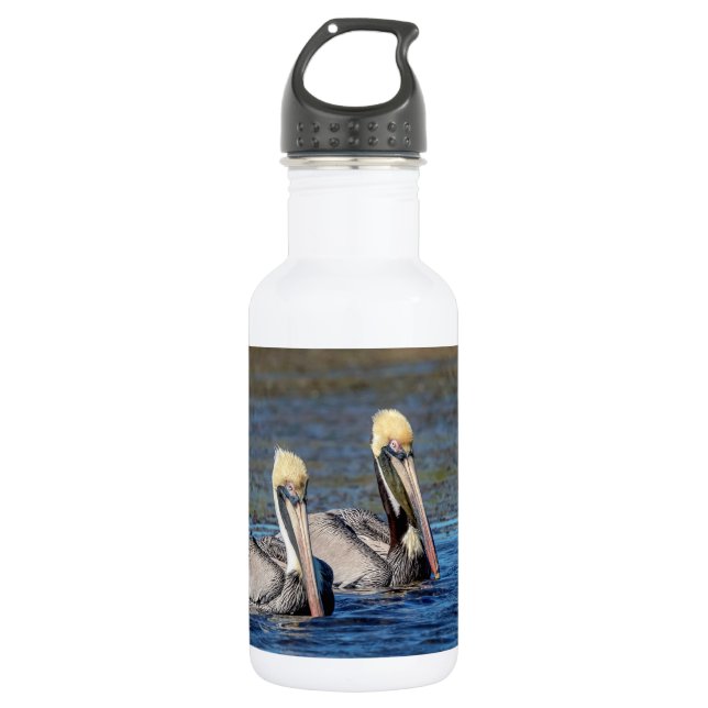 Pair of Pelicans 532 Ml Water Bottle (Front)