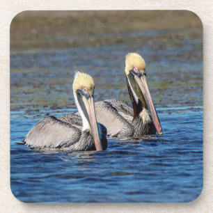Pair of Pelicans Coaster