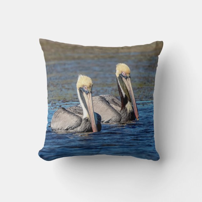 Pair of Pelicans Cushion (Front)
