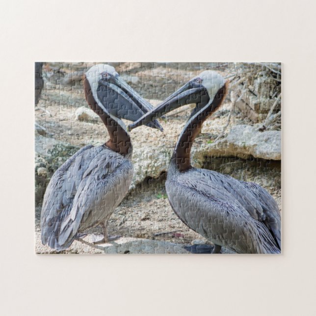 Pair of Pelicans Jigsaw Puzzle (Horizontal)