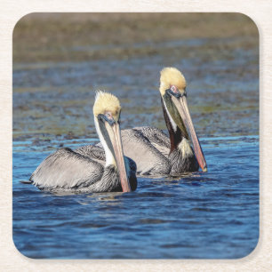 Pair of Pelicans Square Paper Coaster
