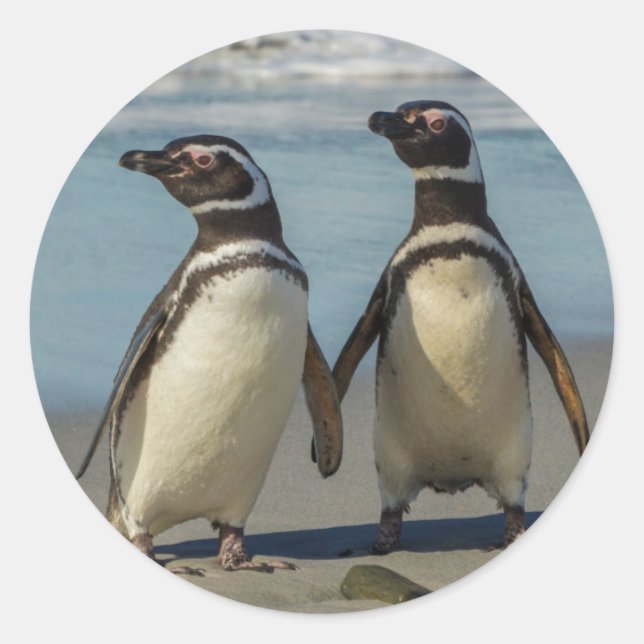 Pair of penguins on the beach classic round sticker (Front)