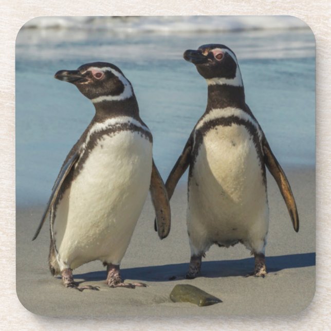 Pair of penguins on the beach coaster (Front)