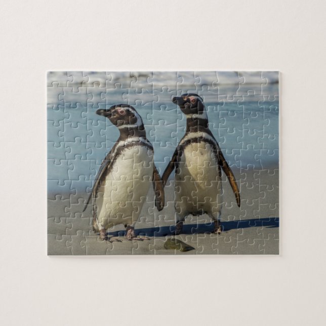 Pair of penguins on the beach jigsaw puzzle (Horizontal)