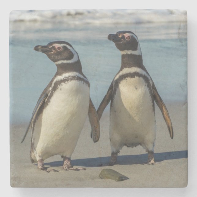 Pair of penguins on the beach stone coaster (Front)
