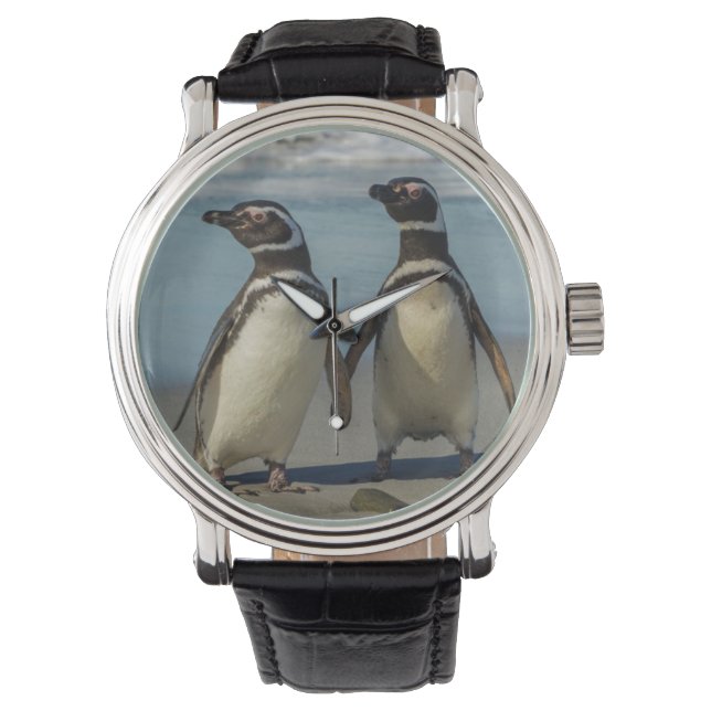 Pair of penguins on the beach watch (Front)