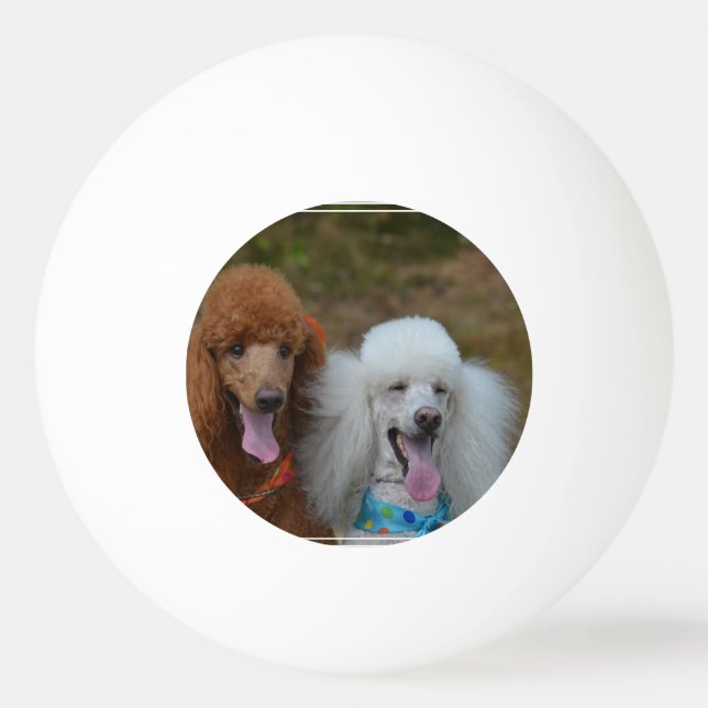 Pair of Poodles Ping Pong Ball (Front)