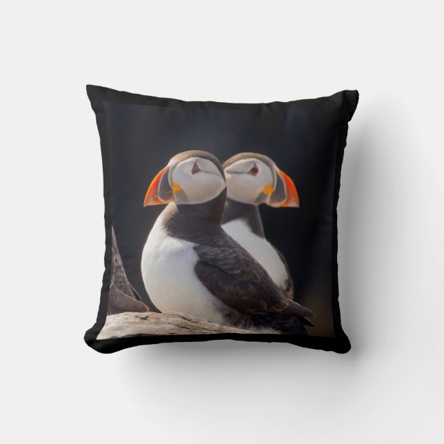 Pair of Puffins Cushion (Front)