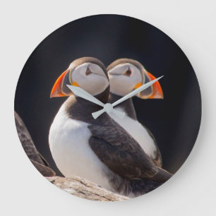 Pair of Puffins Large Clock