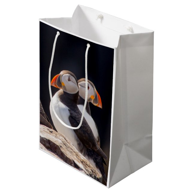 Pair of Puffins Medium Gift Bag (Front Angled)