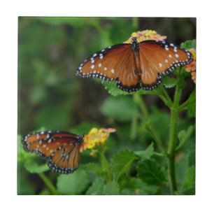 Pair of Queen Butterflies Ceramic Tile