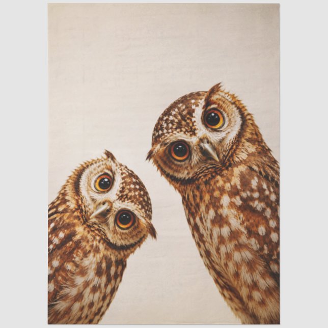 Pair Of Realistic Curious Owls, Brown Rustic FX1R Tissue Paper (Front)