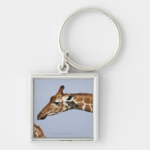 Pair of Reticulated Giraffes (Giraffa Key Ring