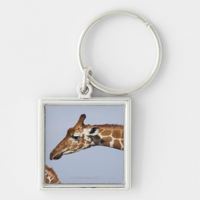 Pair of Reticulated Giraffes (Giraffa Key Ring (Front)