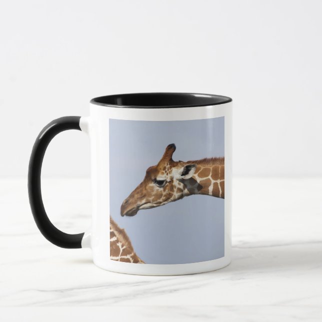 Pair of Reticulated Giraffes (Giraffa Mug (Left)